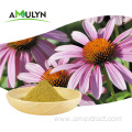 Natural Echinacea Angustifolia Purpurea Root Extract Powder